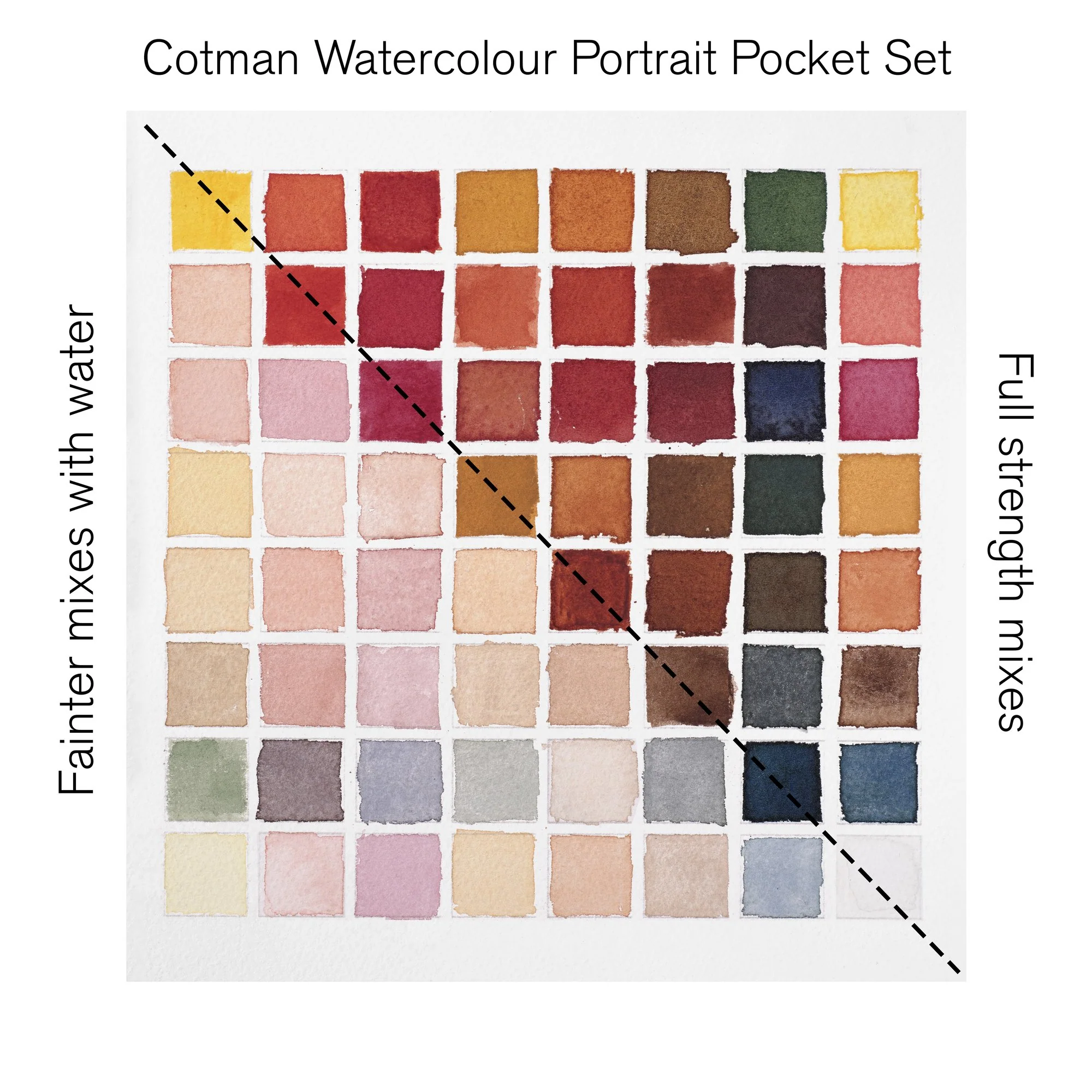 Peinture aquarelle Cotman Winsor & Newton 8 1/2 godets "Portrait" - Image 3