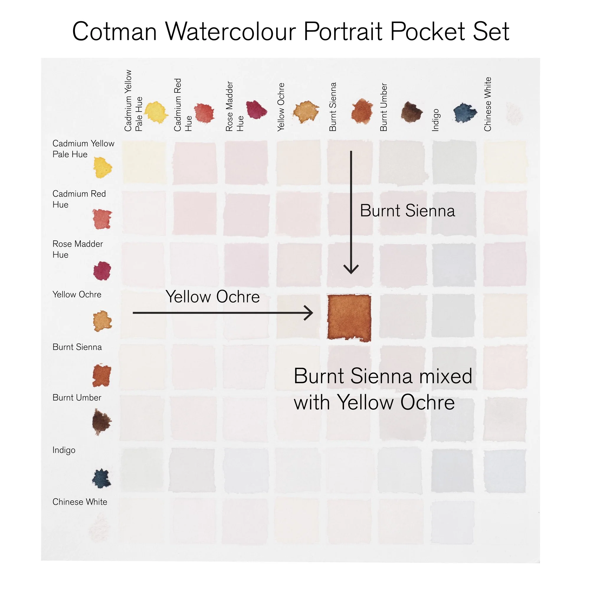 Peinture aquarelle Cotman Winsor & Newton 8 1/2 godets "Portrait" - Image 4