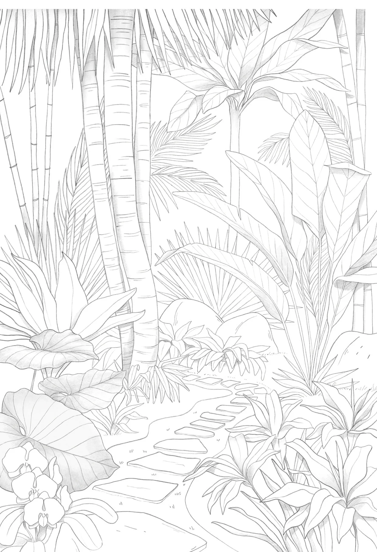 Bloc de coloriage multi-techniques de 20 feuilles A4 250g, Les jardins - Image 9