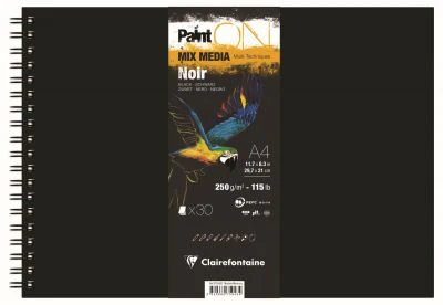 Bloc PAINT'ON Noir Spirale 250G - 30 Feuilles