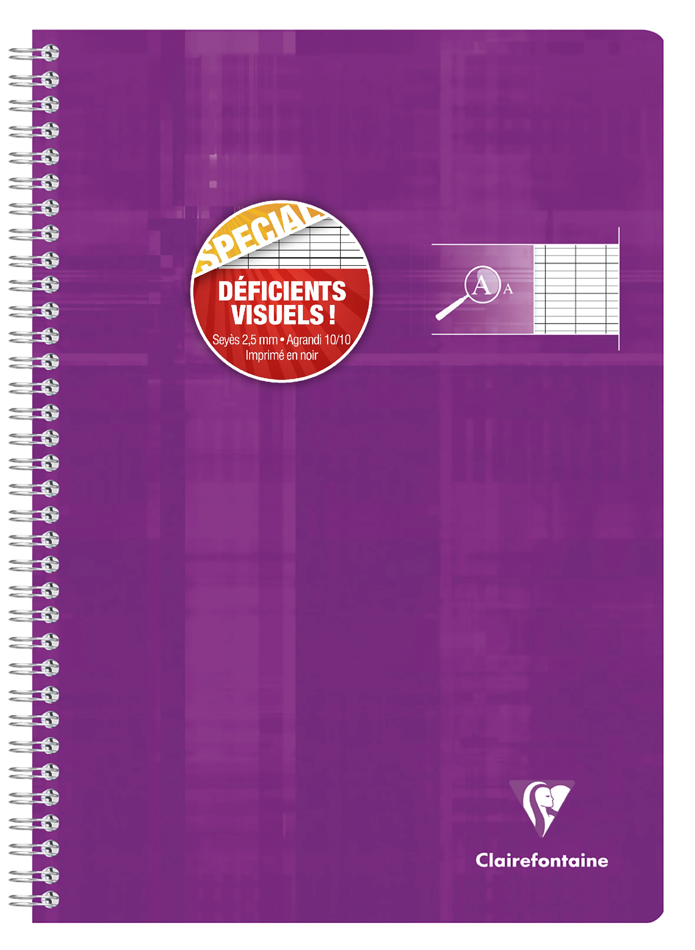 Cahier reliure intégrale déficients visuels A4-100 pages-90 gr-grands carreaux - Image 5