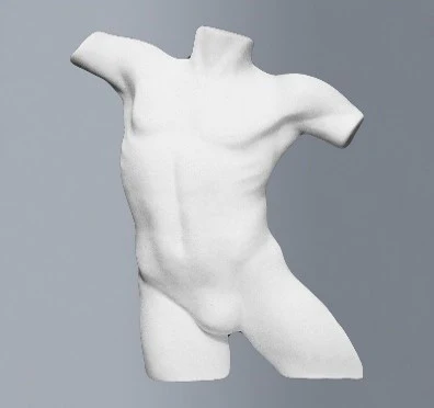 Buste homme polystyrène