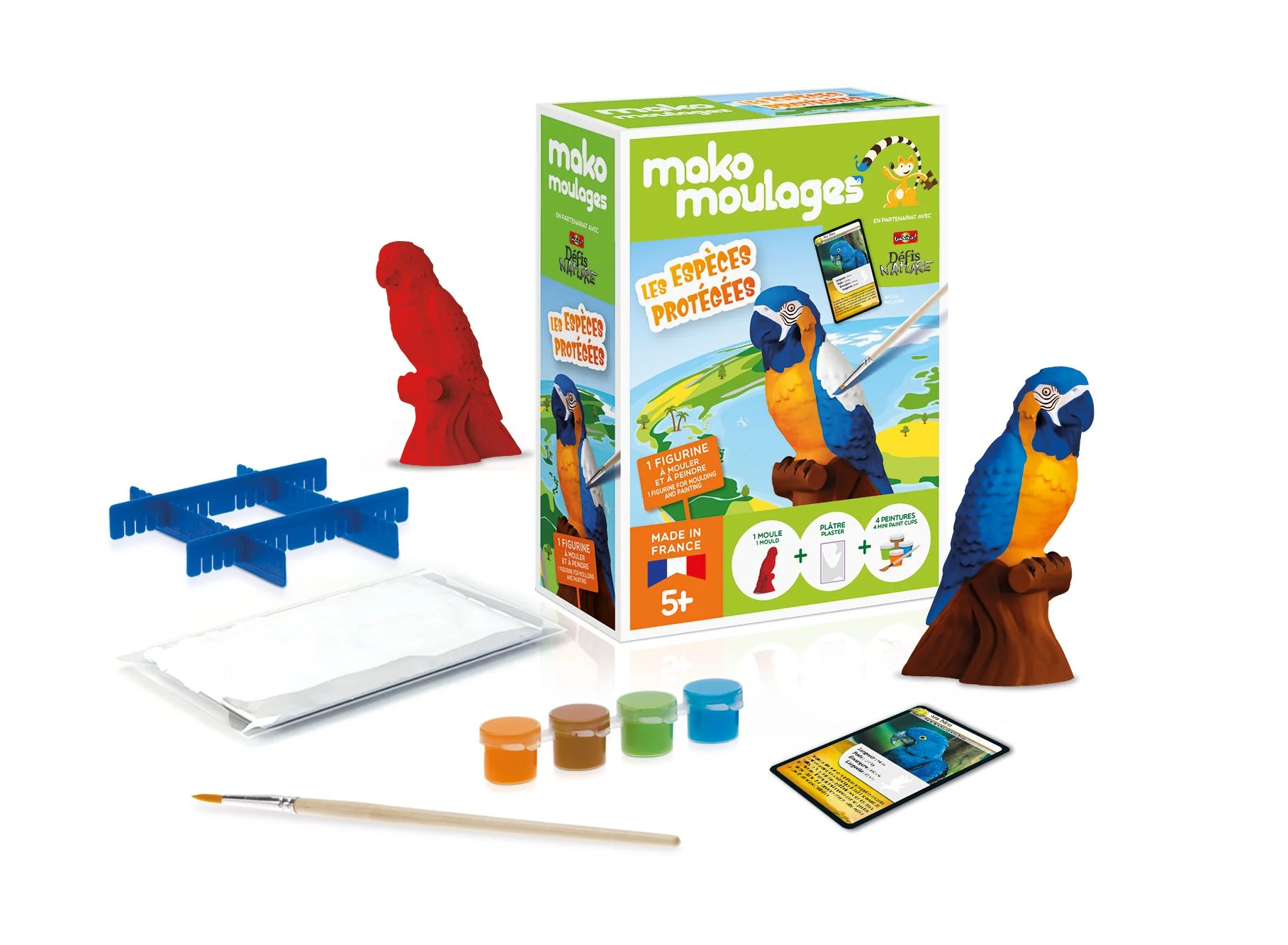 Kit moulage oiseau Ara bleu - Image 3
