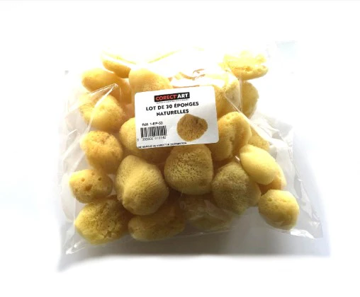 Sachet de 25 mini-éponges naturelles Corect'Art