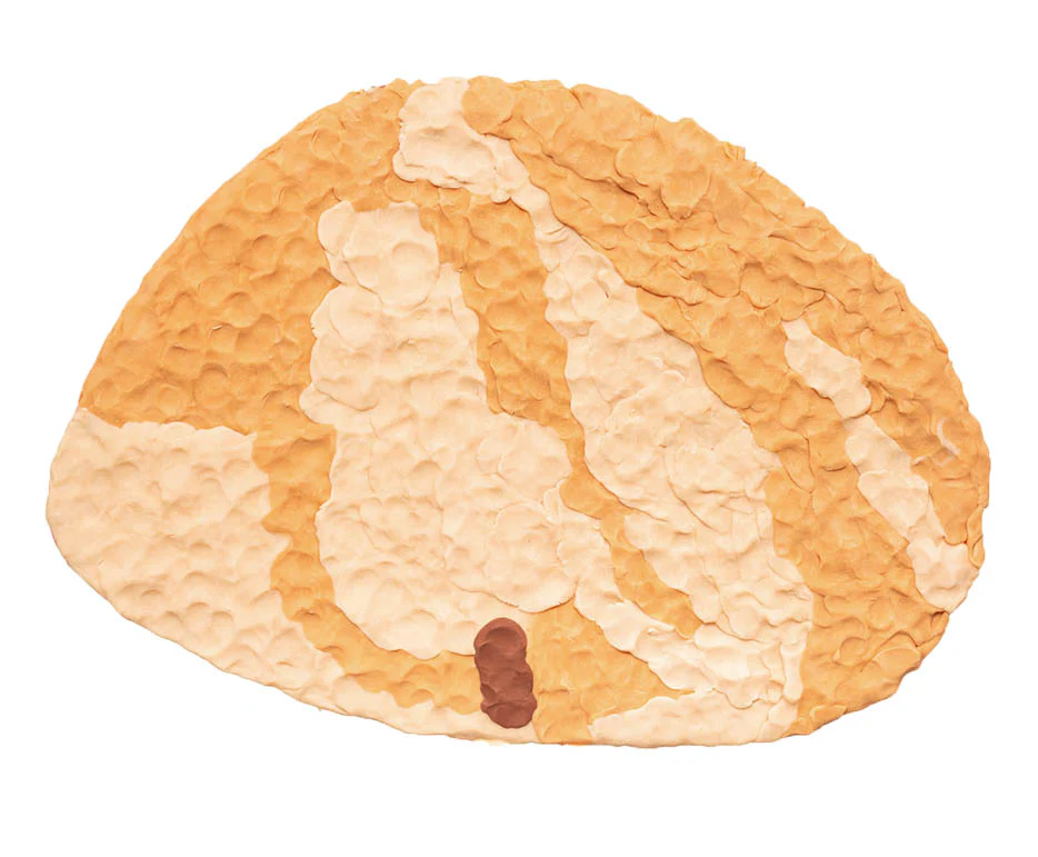 Pâte à modeler plastilina Multi culture x6 50g - Image 6