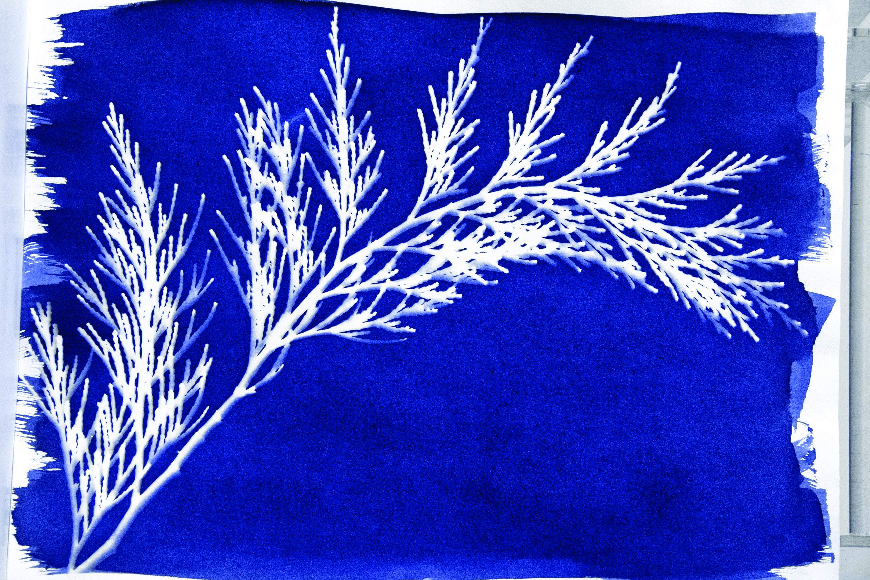 Kit Cyanotype Jacquard set de 2 flacons - Image 5