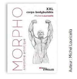 Morpho : anatomie artistique : XXL corps bodybuildés