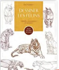 Dessiner les félins