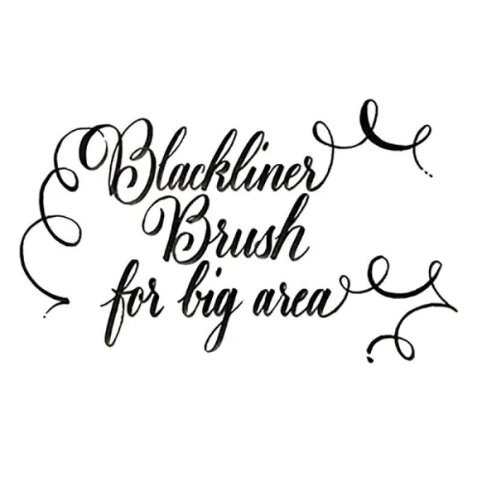 Feutre noir Blackliner Brush - Image 3