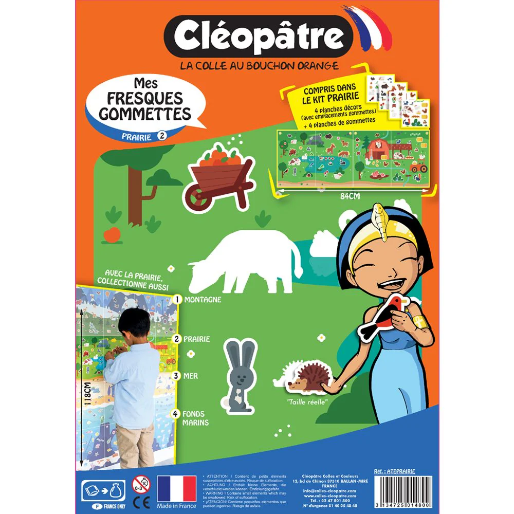 Fresques gommettes - 4 thèmes - Image 5