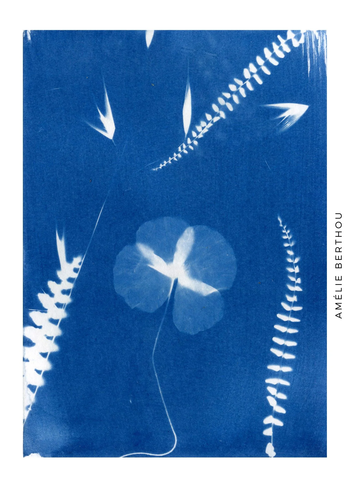 Kit Cyanotype 10 feuilles A4 - Image 2