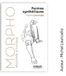 Morpho : Anatomie artistique 2017 - Formes synthétiques