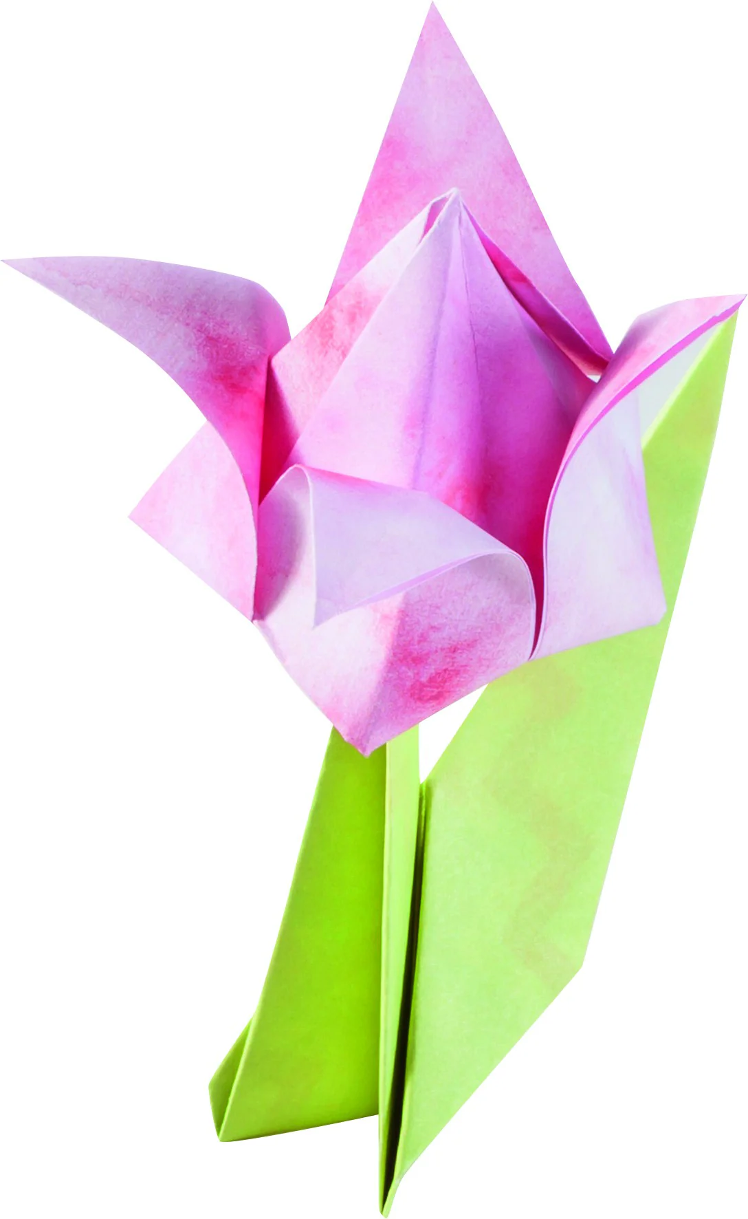 Papier de pliage thème Tropical - Image 4
