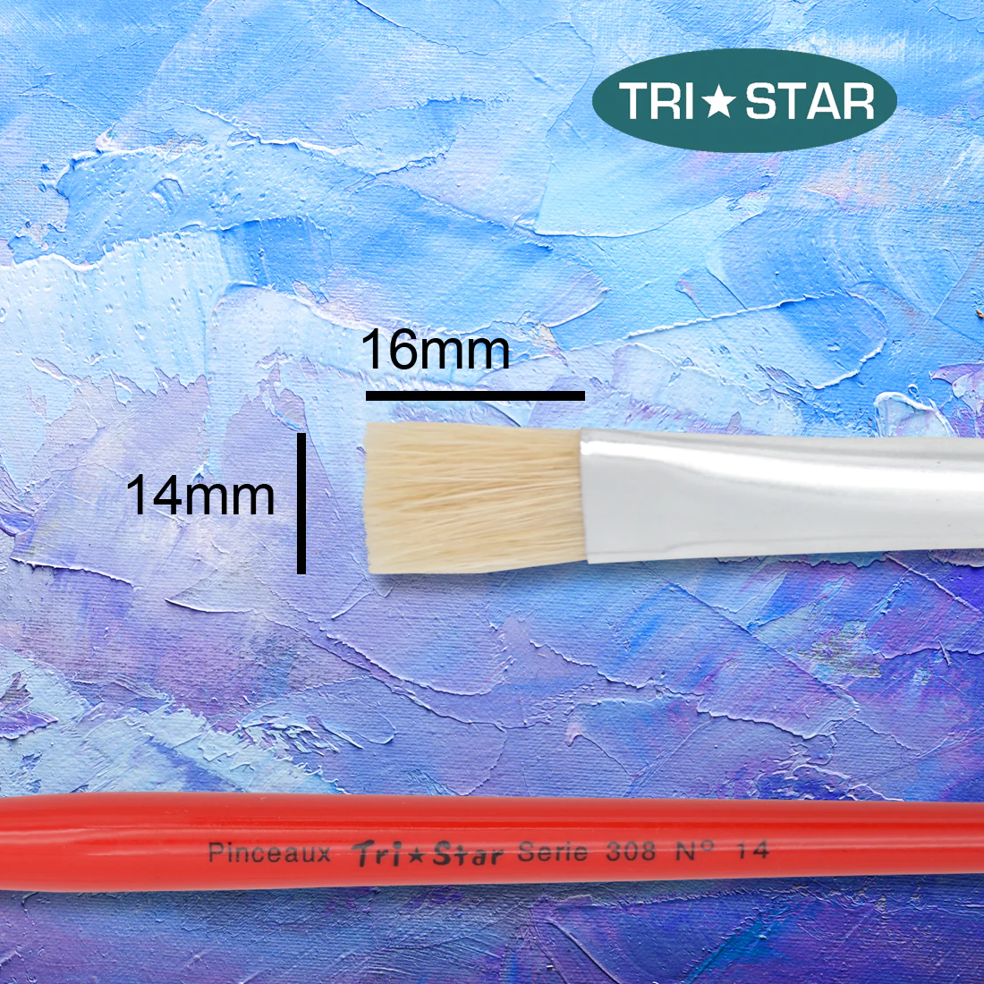 Pinceau scolaire Tri Star 308 Plat - 12 tailles - Image 8