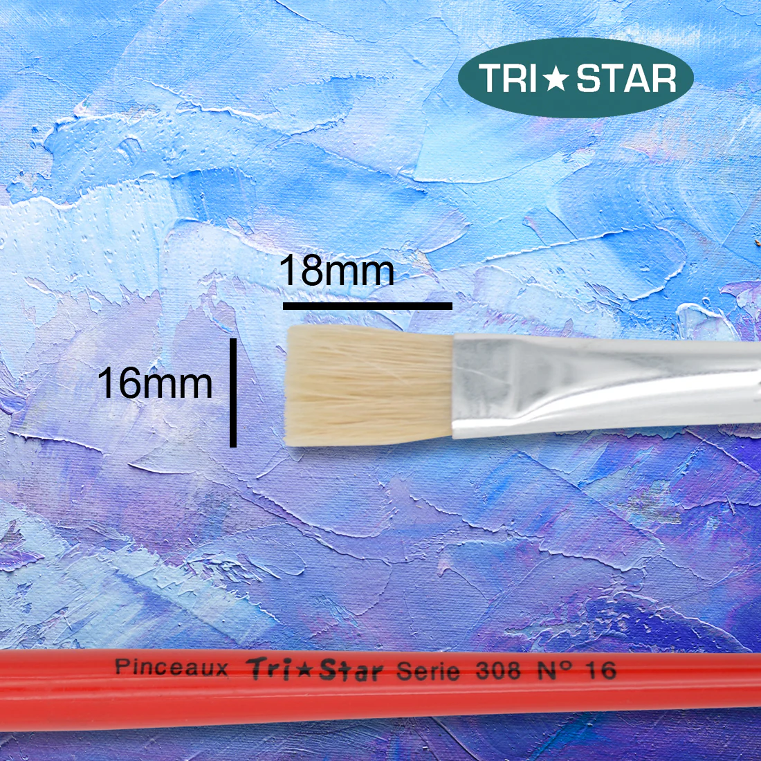 Pinceau scolaire Tri Star 308 Plat - 12 tailles - Image 9