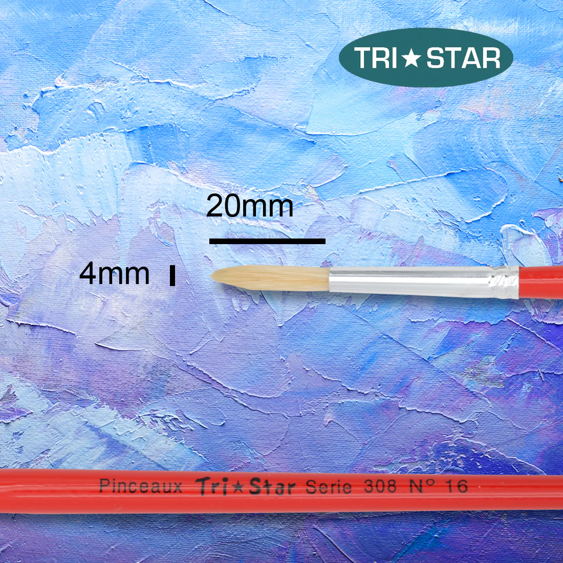 Pinceau scolaire Tri Star 308 Rond - 12 tailles - Image 10