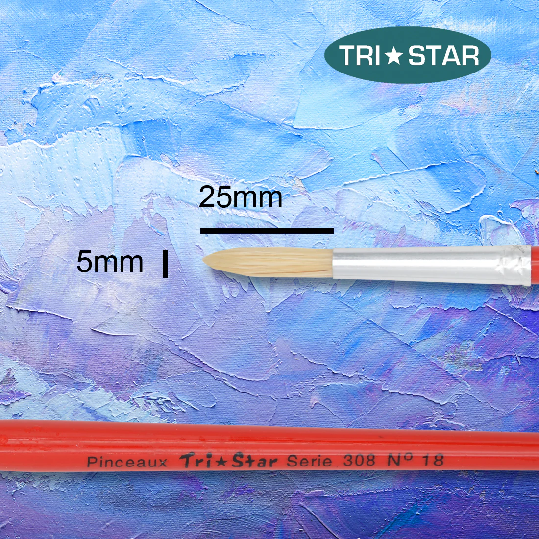 Pinceau scolaire Tri Star 308 Rond - 12 tailles - Image 11
