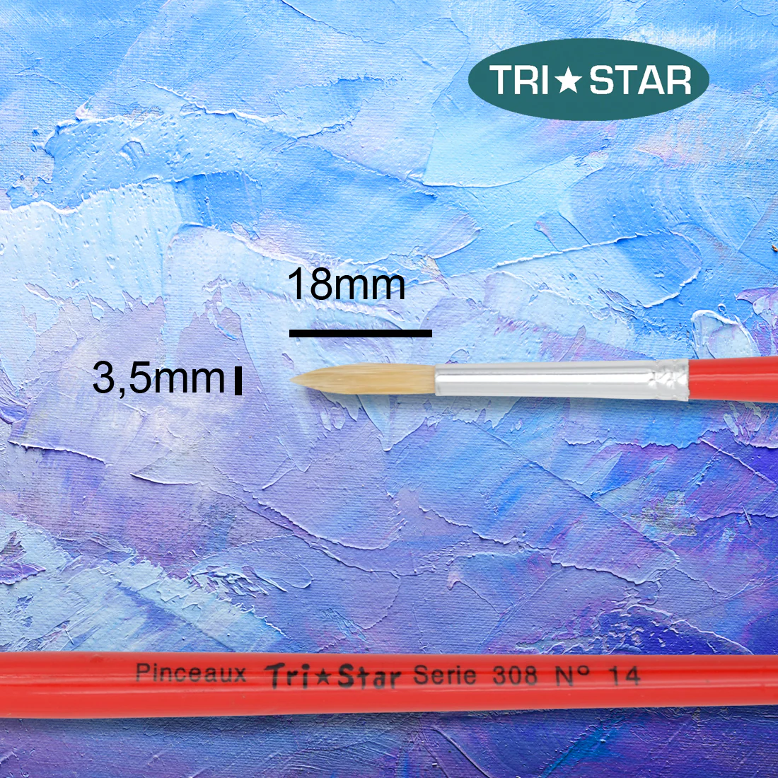 Pinceau scolaire Tri Star 308 Rond - 12 tailles - Image 9