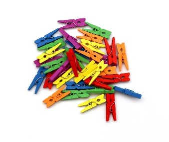 Pinces à linge bois 25 mm - 48 pcs couleurs assorties
